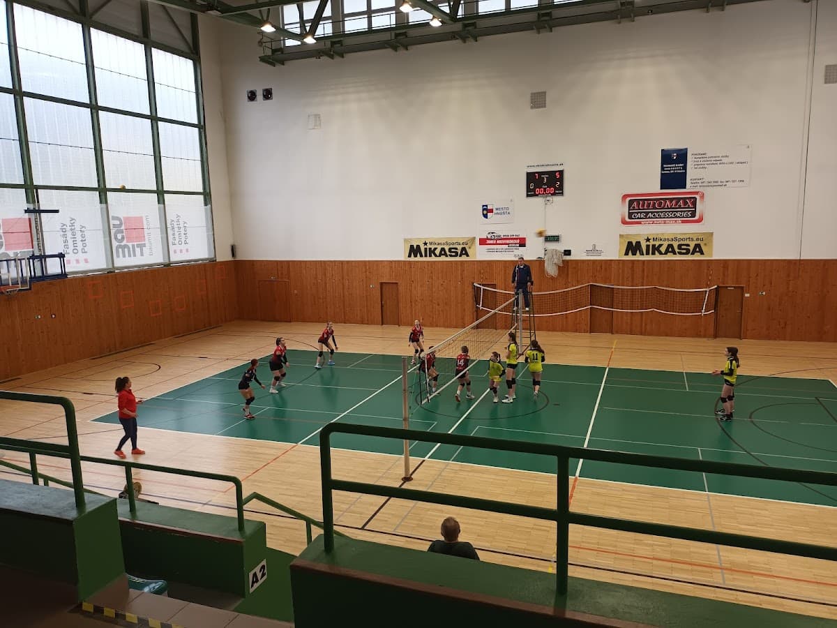 Mestská športová hala