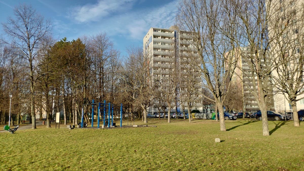 RVL13 Streetworkout Dubravka