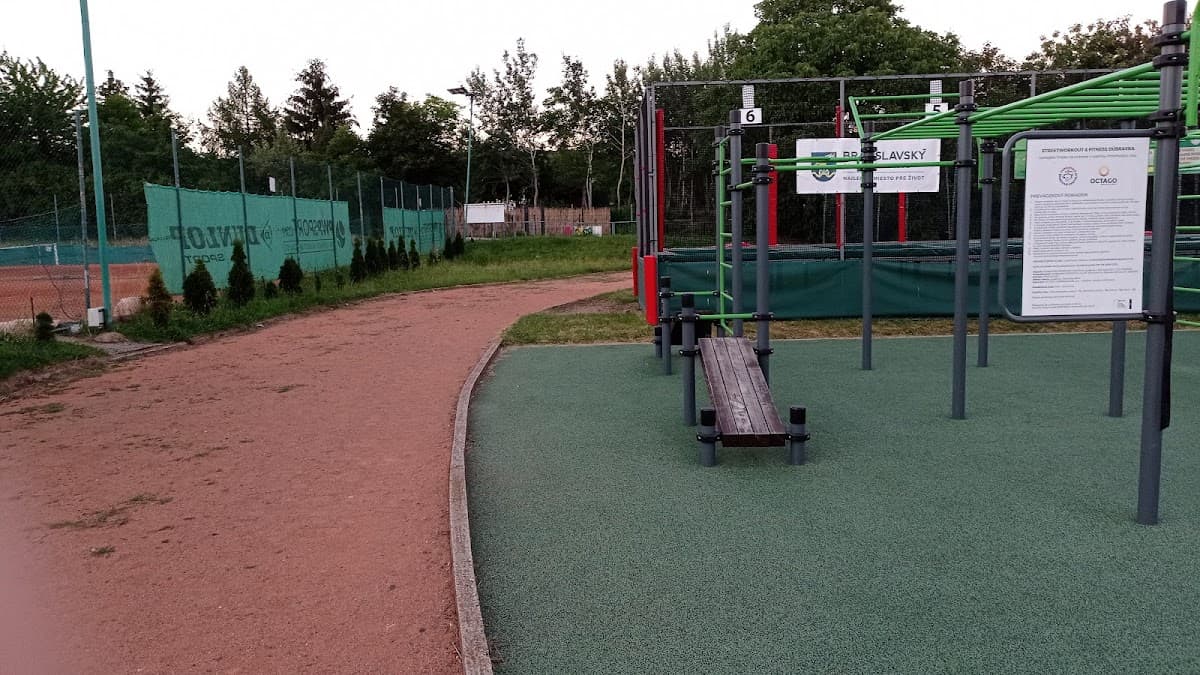 Street Workout Bilíkova