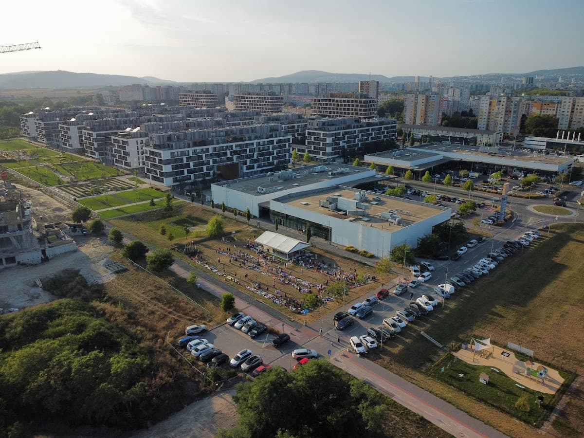 Street workout, Slnečnice