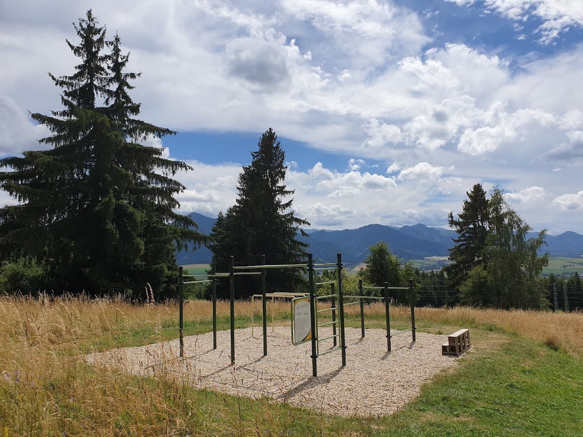 Posilňovňa na okraji lesa