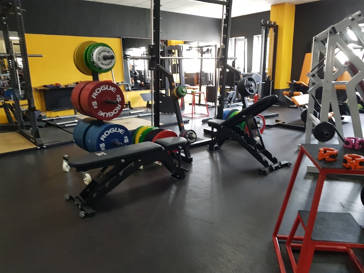 BodyGeek Fitness Club