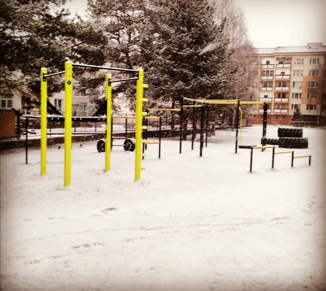 RoyalBarzz Slovakia Calisthenics Park