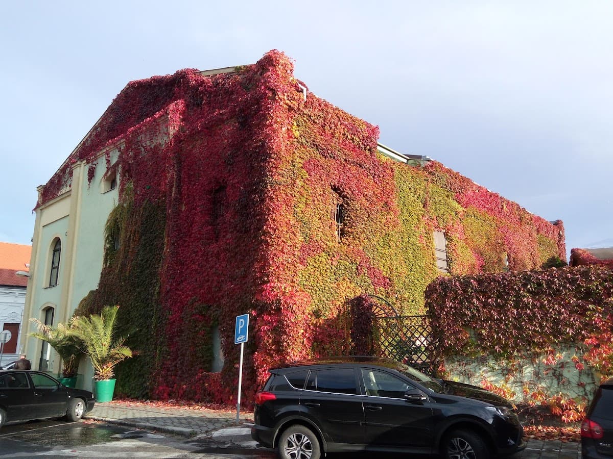 Squash & Fitness Komárno