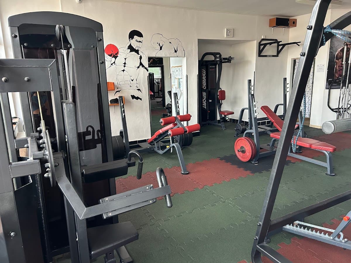 Stemi fitness&boxing