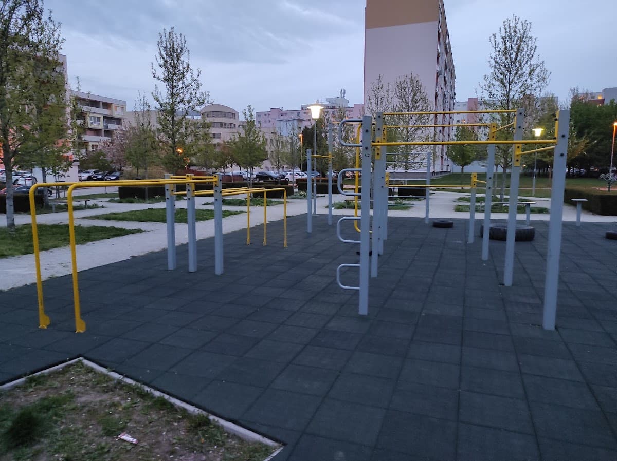 Street workout ihrisko by WODGEAR