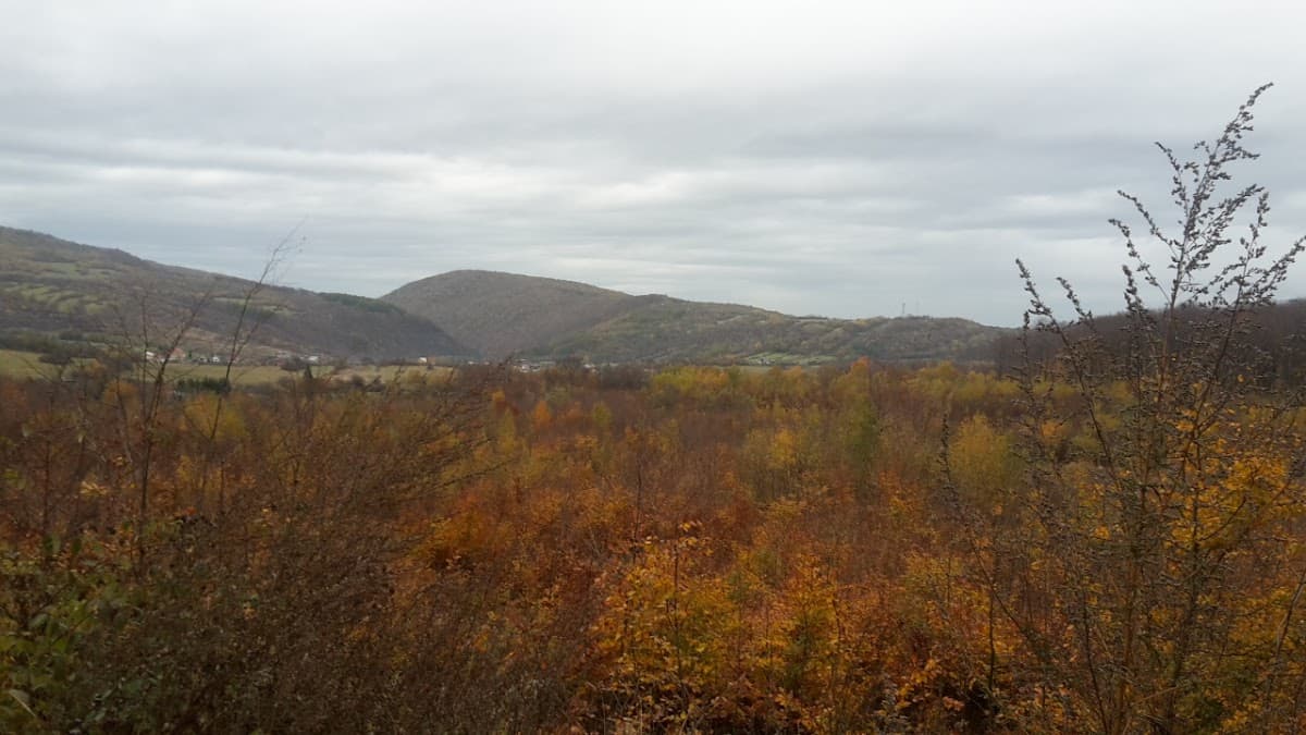 Športový klub Banské