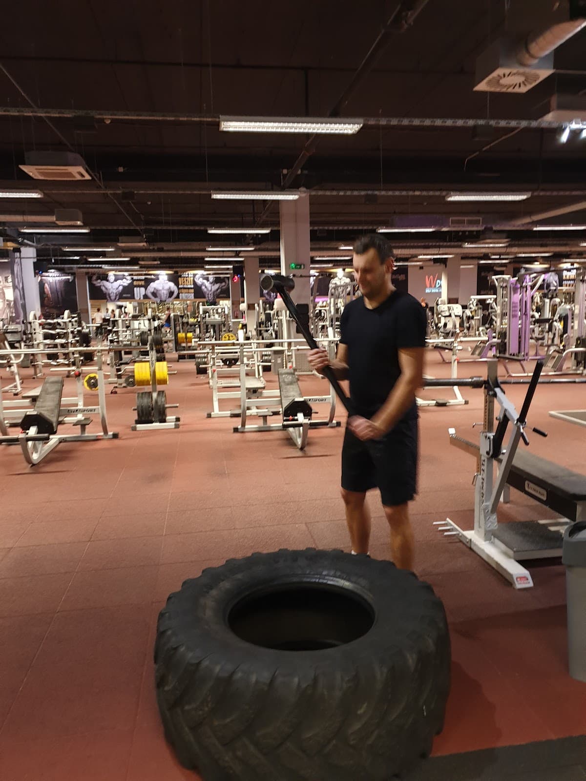 Cutler Fitness Győr