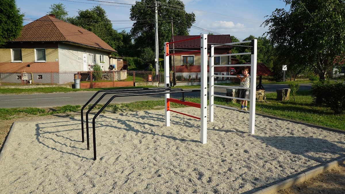 WODGEAR Street workout park