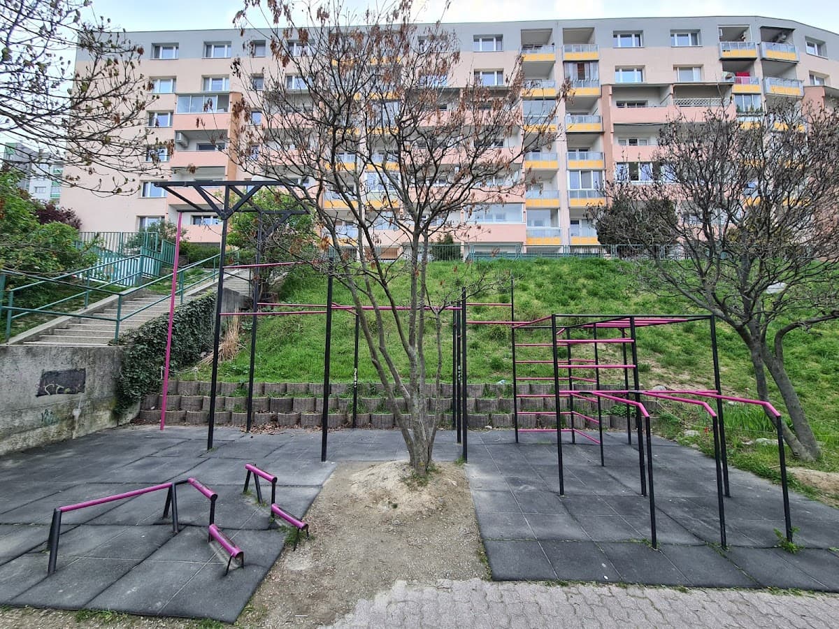 Sebarevolta Workout Bratislava