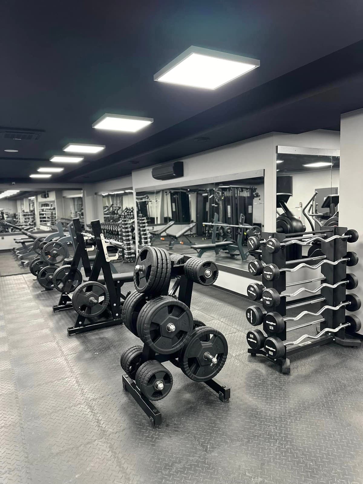 Gorilla Fitness club