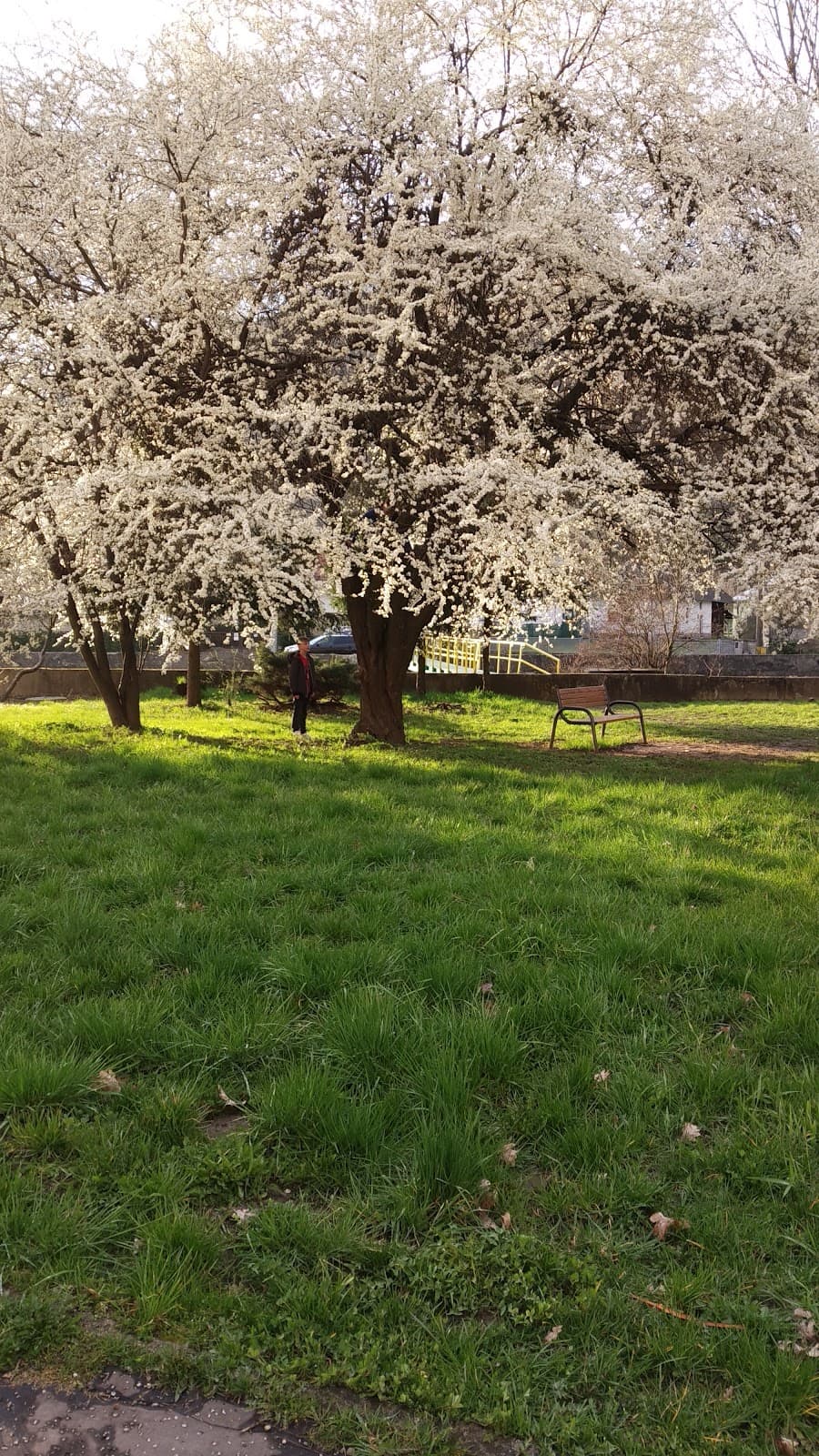 Guliverová lavička