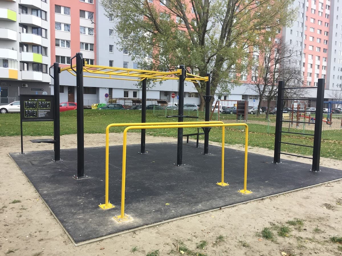 Streetworkout Fedinova