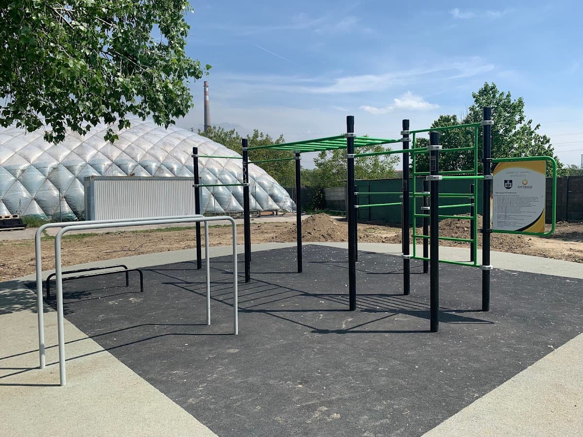 OCTAGO WORKOUT LEOPOLDOV