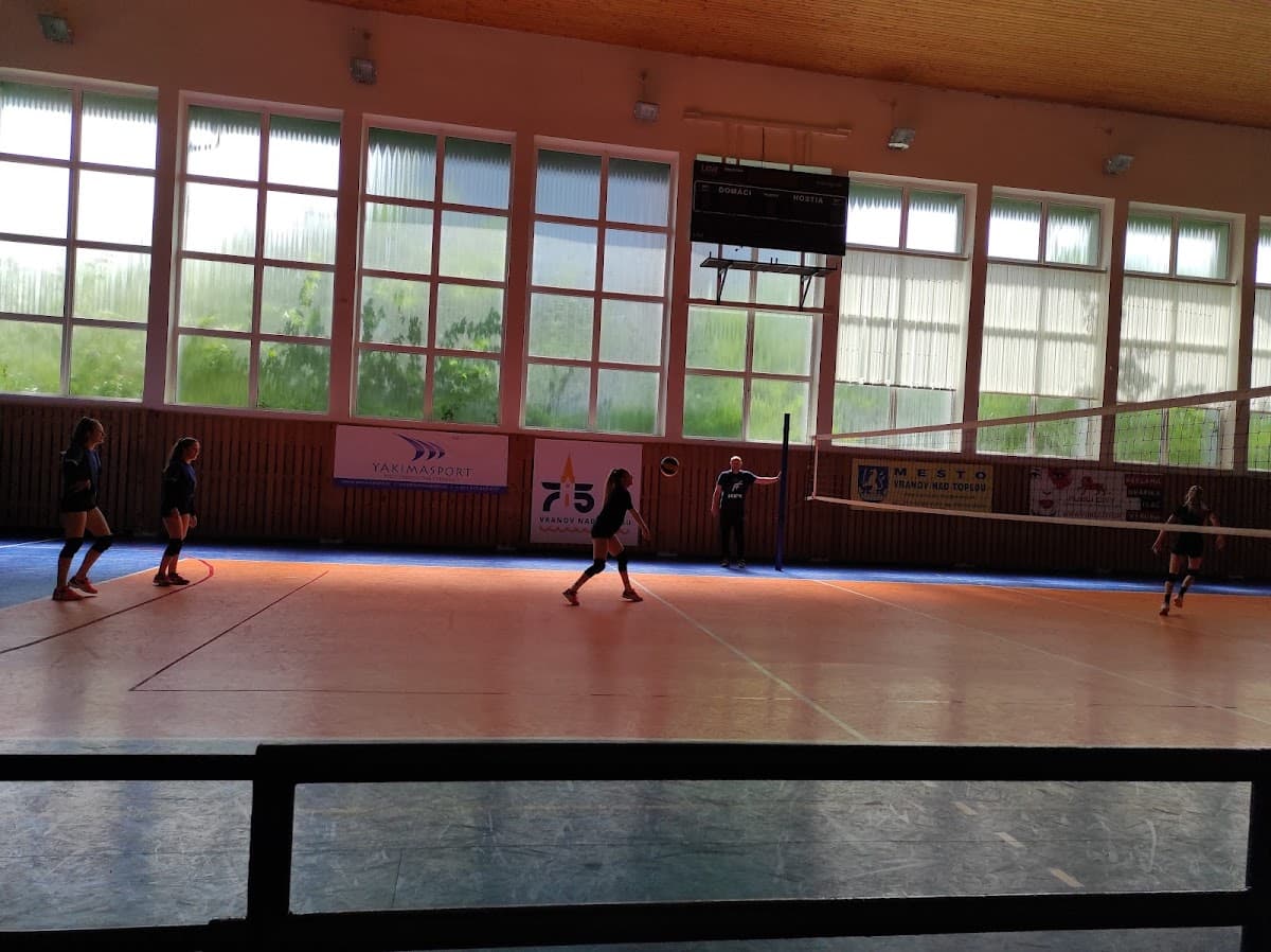 Mestská športová hala