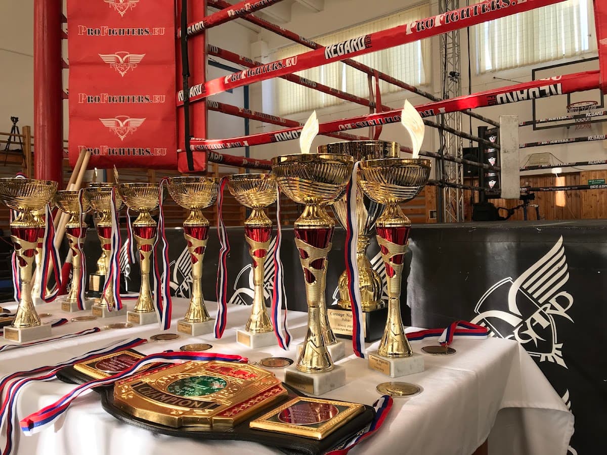 Mestská športová hala