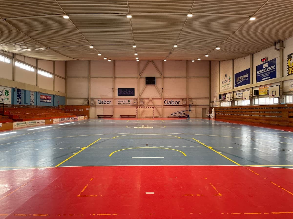 Mestská športová hala