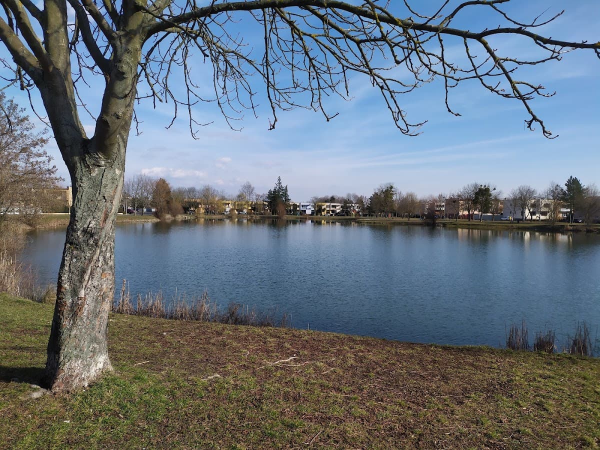 OCTAGO WORKOUT BAŇA