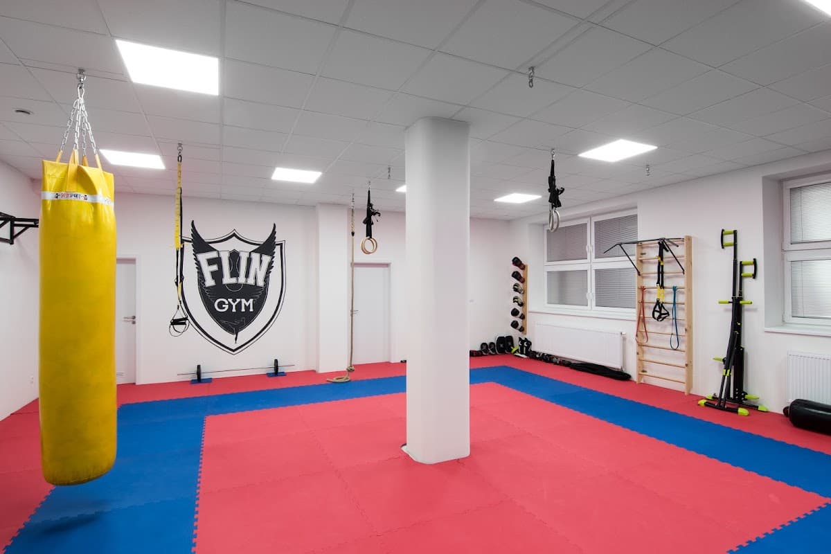 FLIN GYM