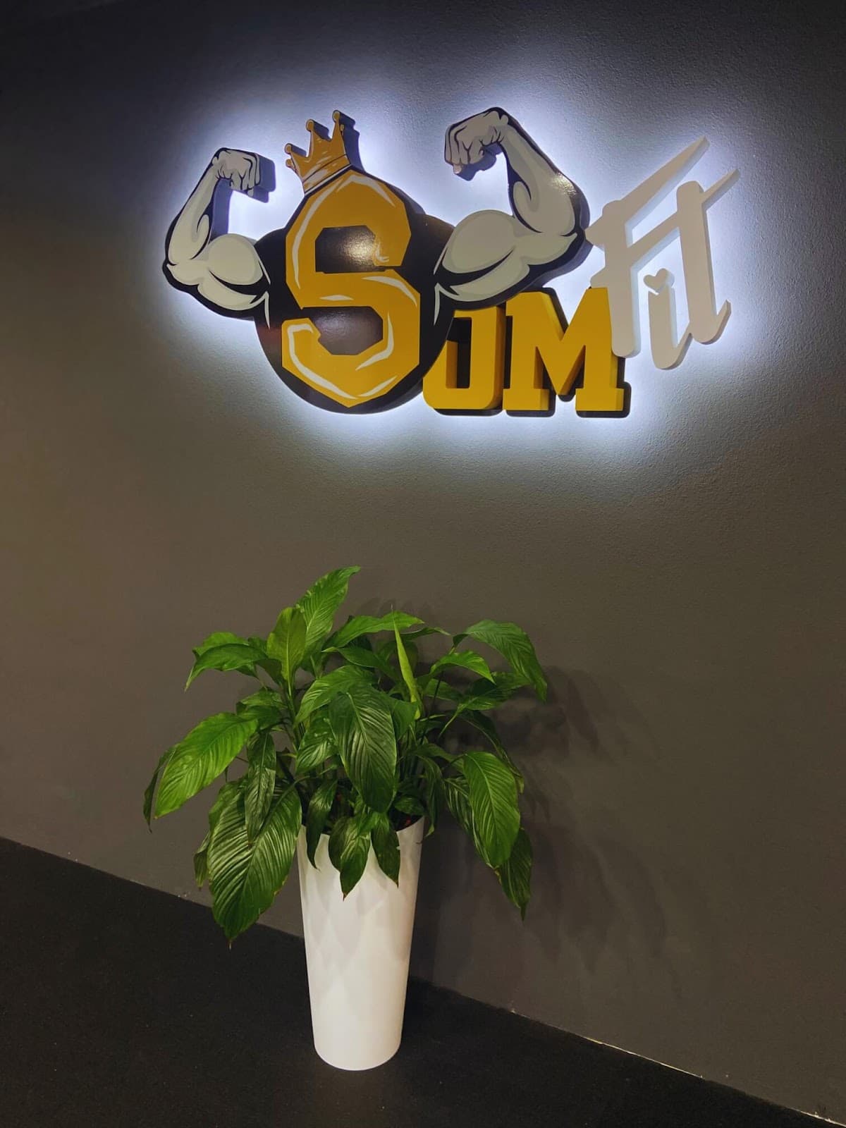 SomFit - Zdravý Životný Štýl