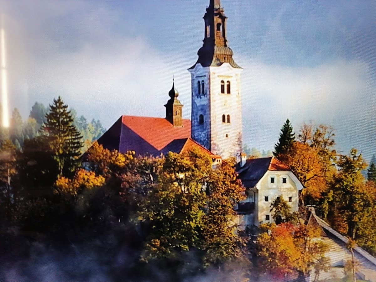 FIT Zóna OC TULIP Martin